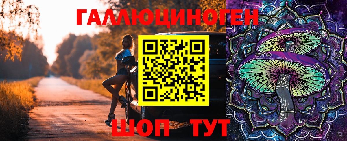 Егорьевск  Галлюциногенные грибы прущие грибы  Вход с VPN 