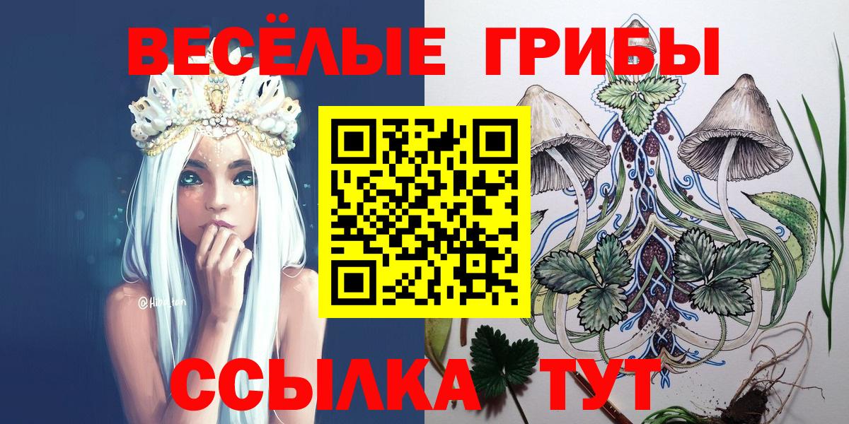 Псилоцибиновые грибы мицелий Егорьевск